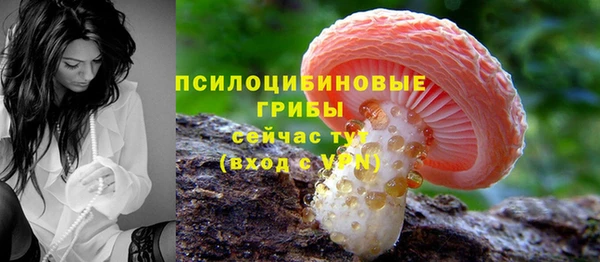 МДМА Горняк