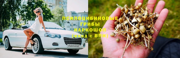 мет Горно-Алтайск